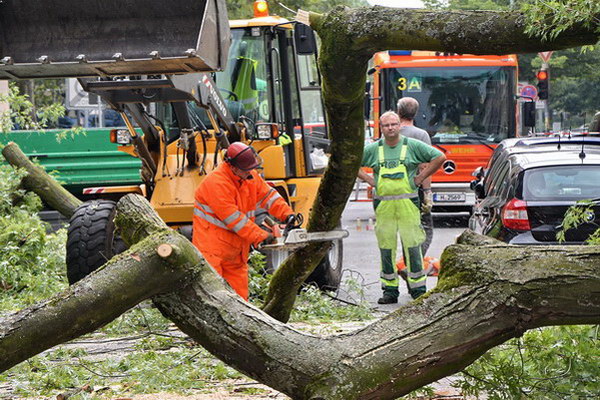 Feuerwehr_Baum   019.jpg
